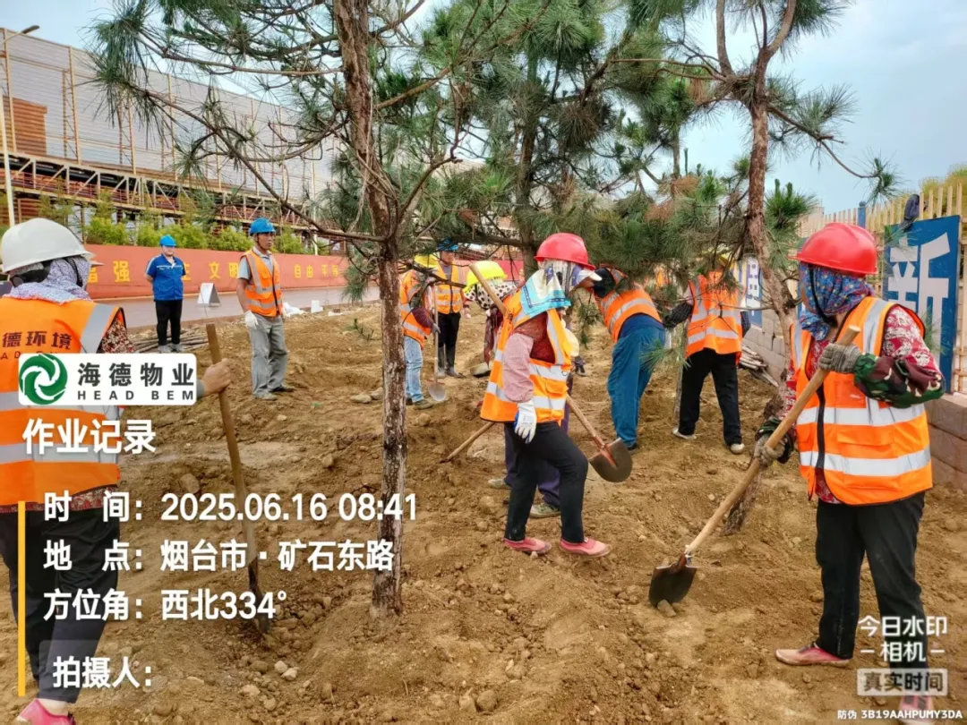 海德物業丨晝夜兼程繪綠意 風雨無阻寫擔當